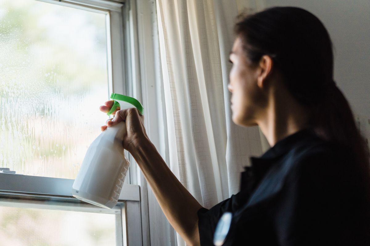 Sorgfältige Fensterreinigung im Wohnbereich